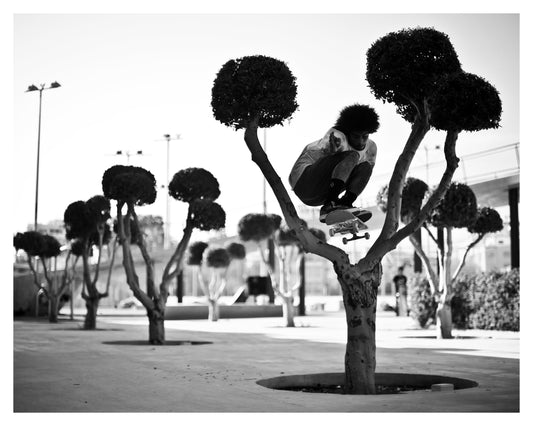 Chris Pfanner - Tree ollie, Cyrus. 2009